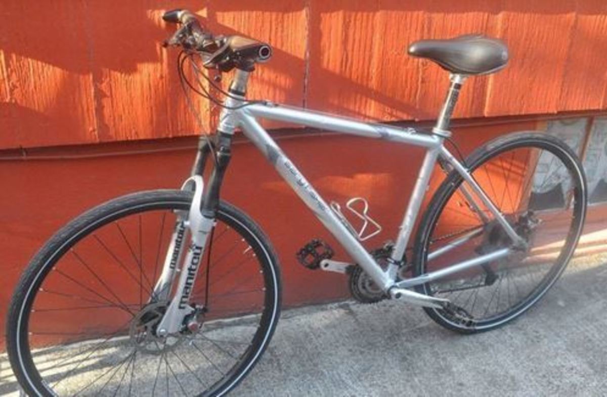 2006 Gary Fisher Utopia