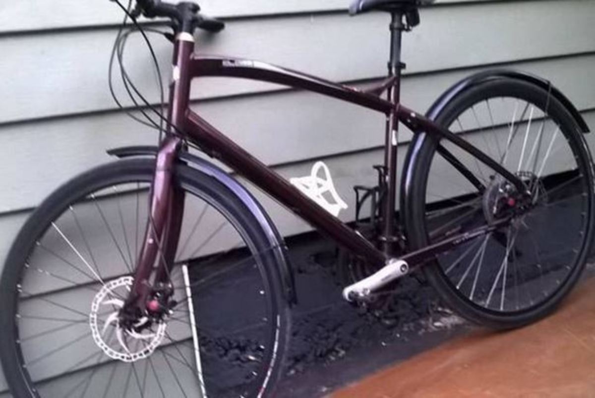 2009 Specialized Globe Vienna 3 Disc