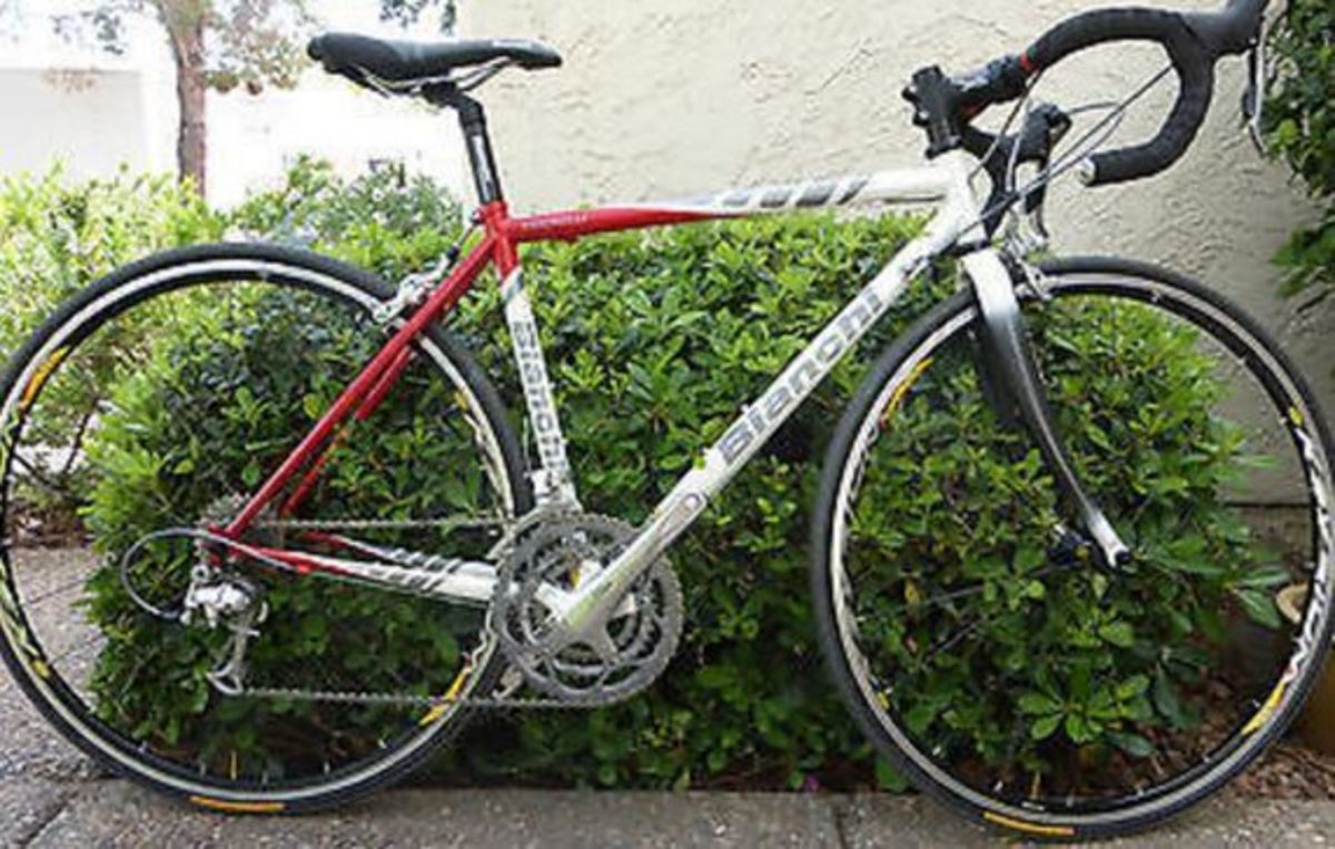 Stolen 2005 Bianchi Vigorelli 