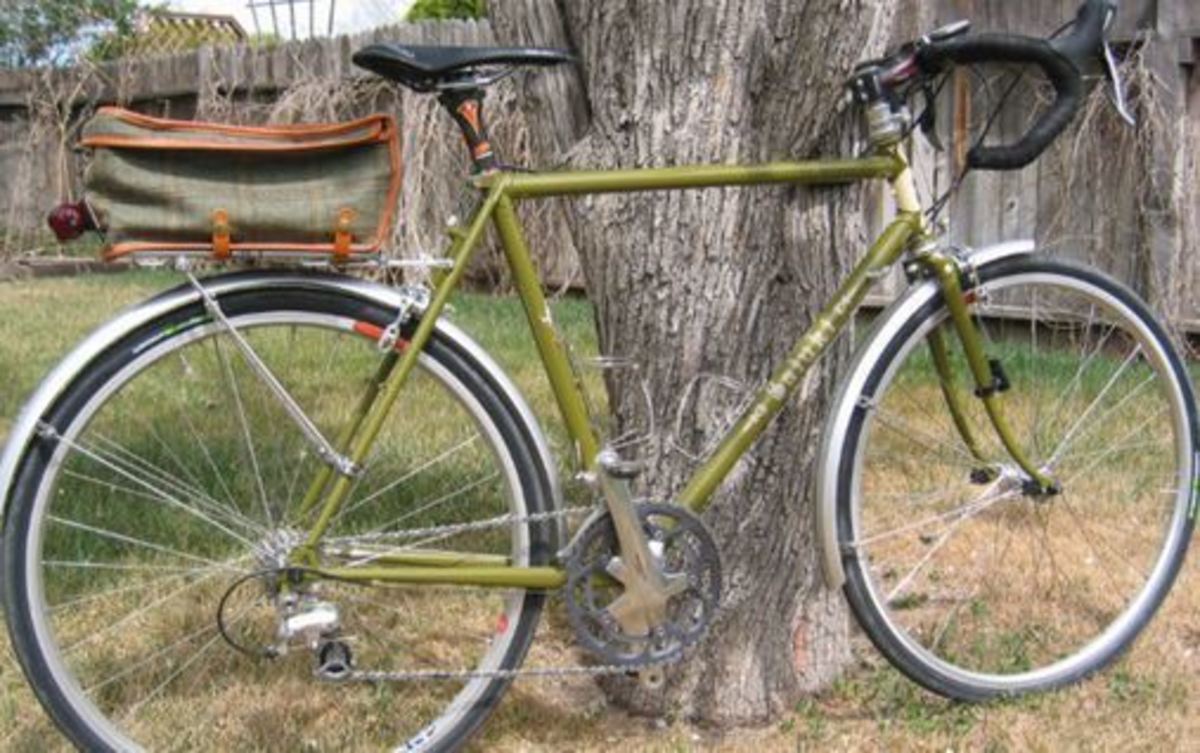 Rivendell Bicycle Works Saluki