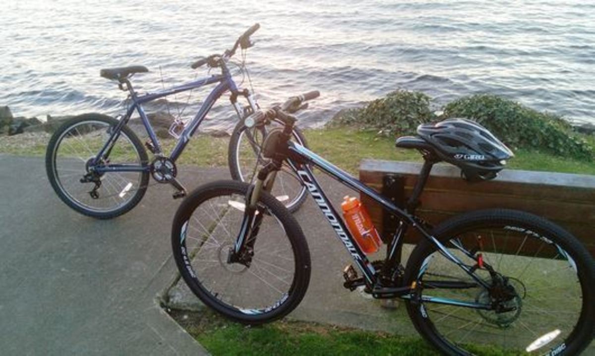 2012 Novara Portal Mtn Bike