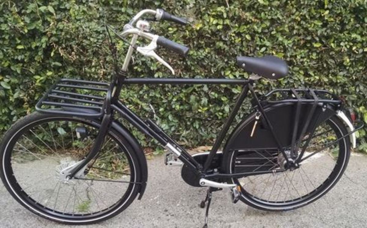 2015 WorkCycles Opa Dutch Style