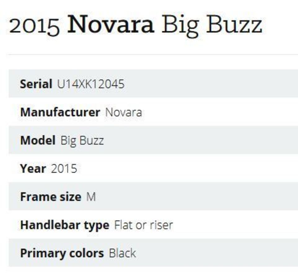 2015 Novara Big Buzz