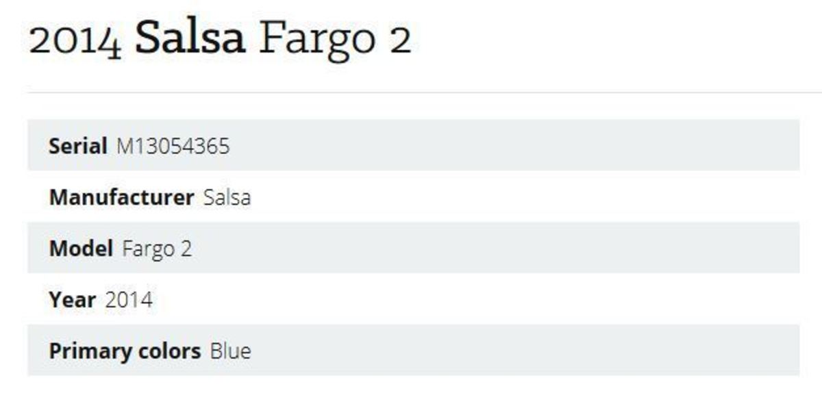2014 Salsa Fargo 2