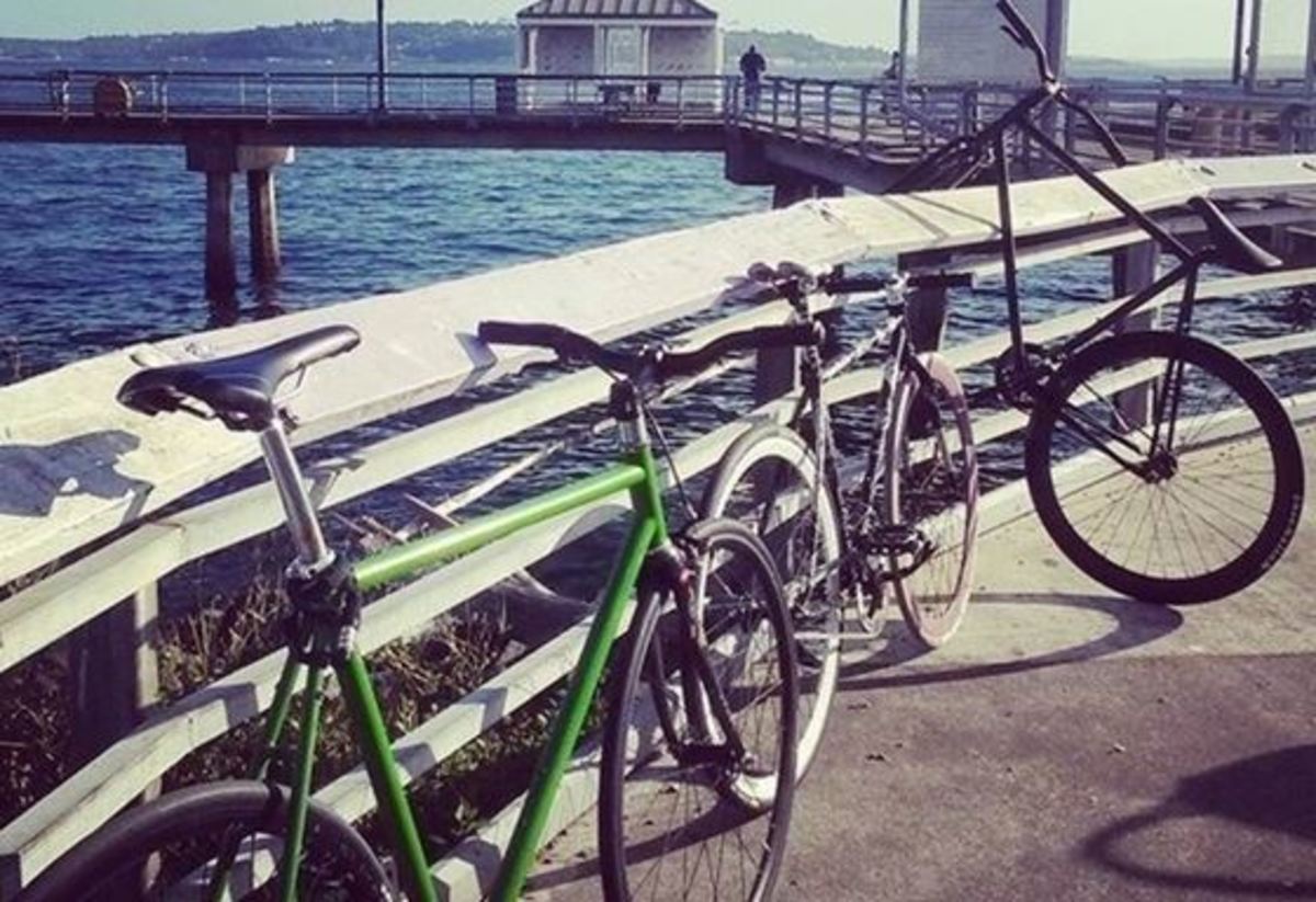 2015 Pure Fix Juliet