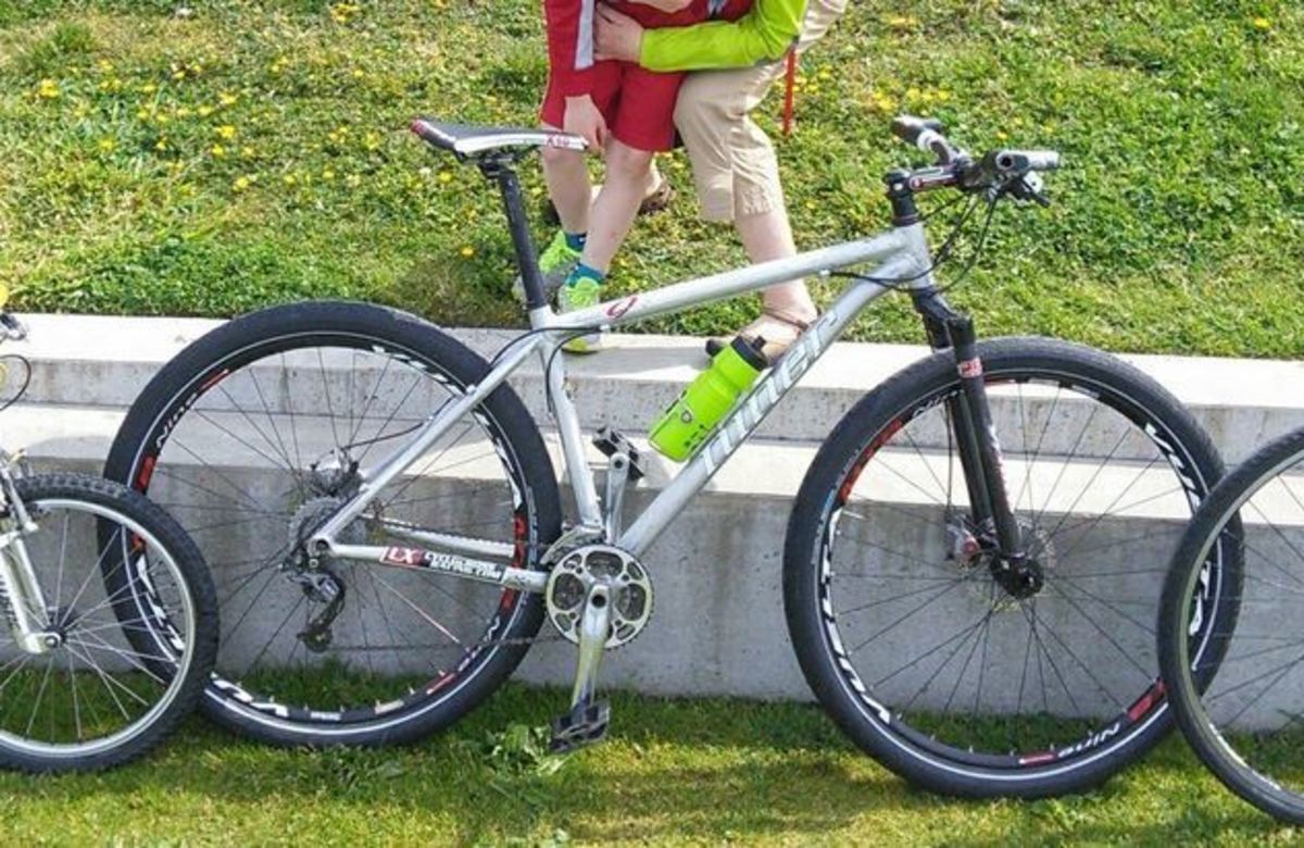 Stolen 2006 Niner Air Nine