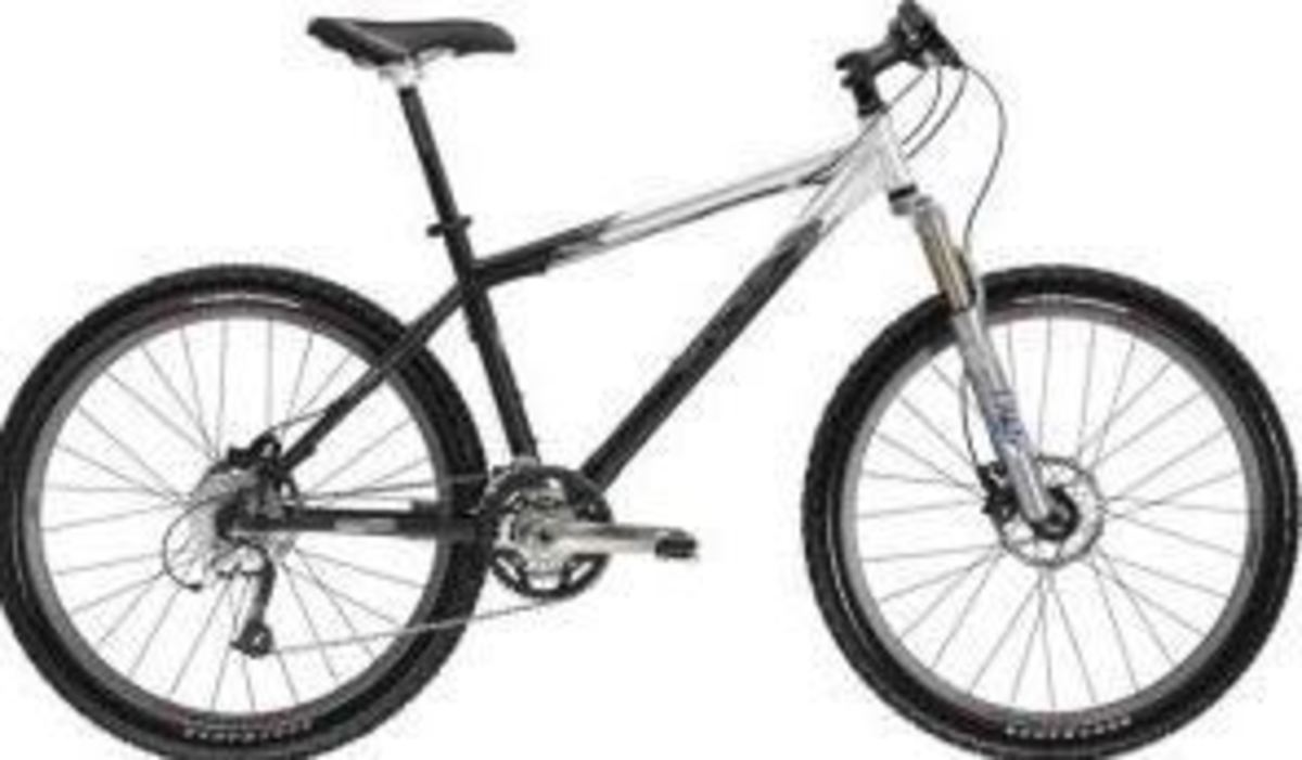 recovered gary fisher