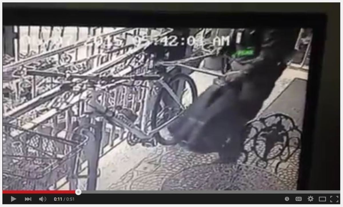 1998 Specialized Rockhopper Comp