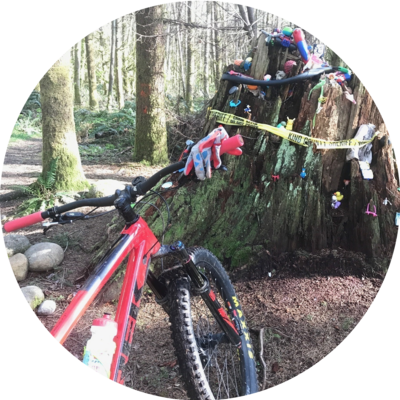 Photo of recovered bike