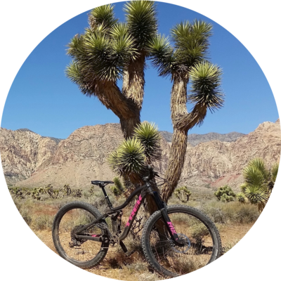 Photo of recovered bike