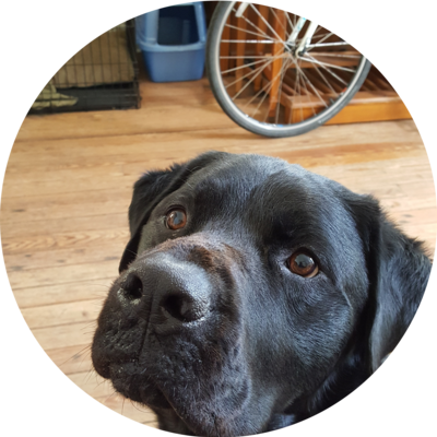 Photo of recovered bike