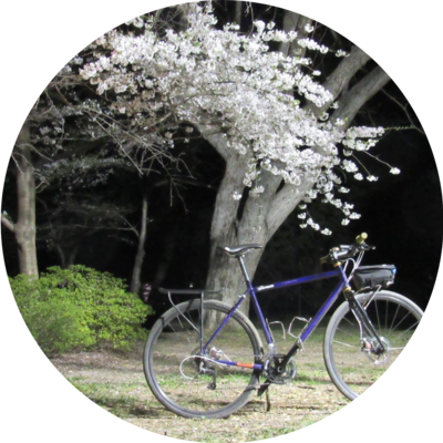 Photo of recovered bike