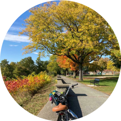 Photo of recovered bike