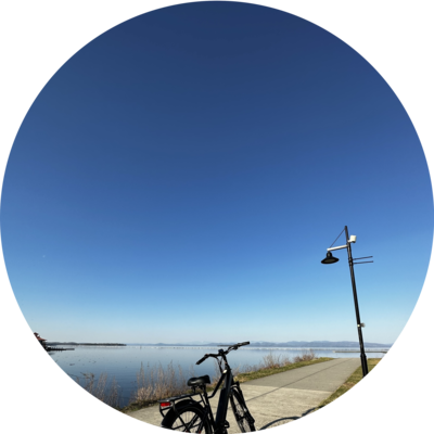 Photo of recovered bike