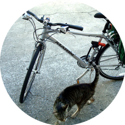 Photo of recovered bike