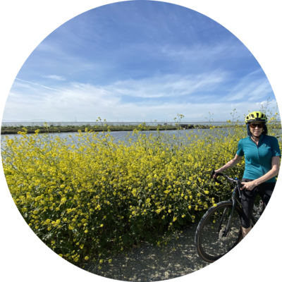 Photo of recovered bike