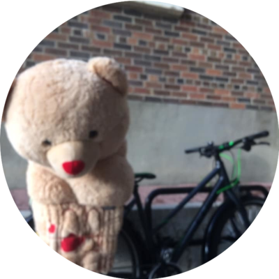 Photo of recovered bike