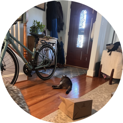 Photo of recovered bike