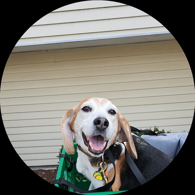 Photo of recovered bike