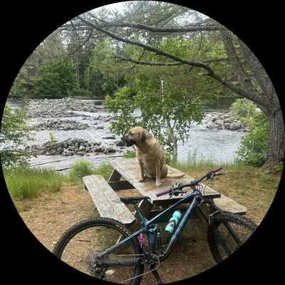 Photo of recovered bike