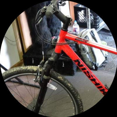 Photo of recovered bike