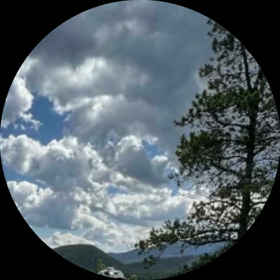 Photo of recovered bike