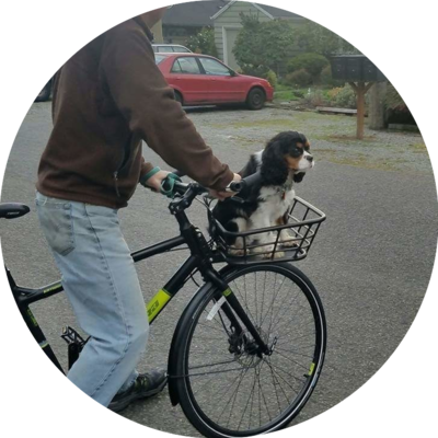 Photo of recovered bike