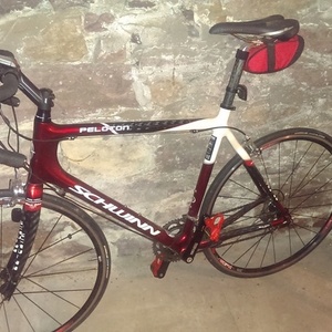 2007 Schwinn Peloton