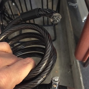 2013 Novara Divano Blue and White