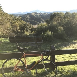 1975 Viner Special Professional Orange