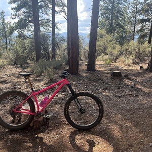 2024 Pipedream Cycles Moxie Mx3