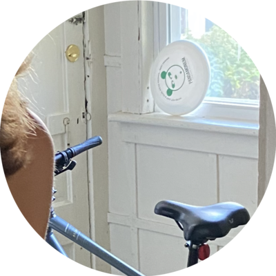 Photo of recovered bike