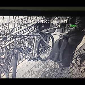 1998 Specialized Rockhopper Comp White